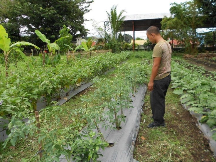 Care of Creation in Bacolo, Philippines