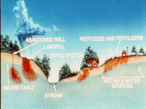 2012 Edible Earth Parfait Presentation