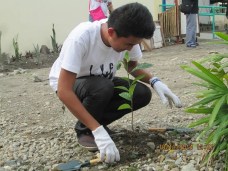 Contributor - Enriano Agnila Jr